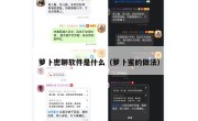 萝卜密聊软件是什么（萝卜蜜的做法）