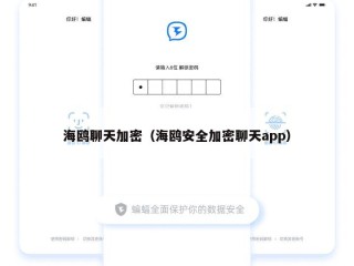 海鸥聊天加密（海鸥安全加密聊天app）