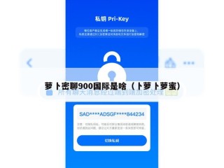 萝卜密聊900国际是啥（卜萝卜萝蜜）