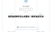 程序加密聊天怎么设置的（程序加密方法）