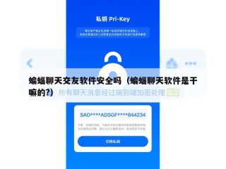 蝙蝠聊天交友软件安全吗（蝙蝠聊天软件是干嘛的?）