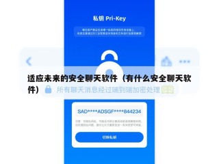 适应未来的安全聊天软件（有什么安全聊天软件）