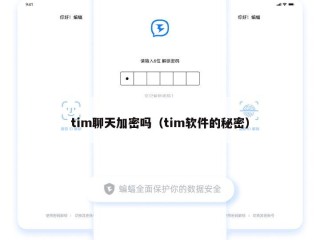 tim聊天加密吗（tim软件的秘密）