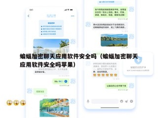 蝙蝠加密聊天应用软件安全吗（蝙蝠加密聊天应用软件安全吗苹果）