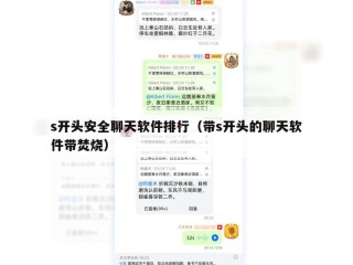 s开头安全聊天软件排行（带s开头的聊天软件带焚烧）