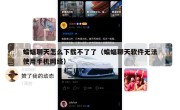 蝙蝠聊天怎么下载不了了（蝙蝠聊天软件无法使用手机网络）