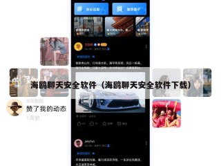 海鸥聊天安全软件（海鸥聊天安全软件下载）