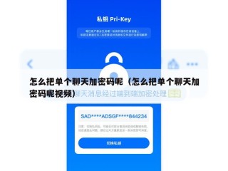 怎么把单个聊天加密码呢（怎么把单个聊天加密码呢视频）