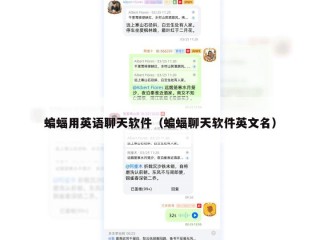 蝙蝠用英语聊天软件（蝙蝠聊天软件英文名）