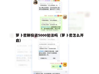 萝卜密聊投资5000犯法吗（萝卜密怎么开启）