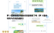 萝卜密聊被服务器封禁是跑路了吗（萝卜蜜的功效与作用及图片）
