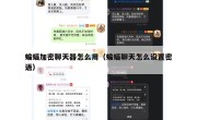 蝙蝠加密聊天器怎么用（蝙蝠聊天怎么设置密语）