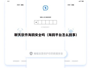 聊天软件海鸥安全吗（海鸥平台怎么回事）