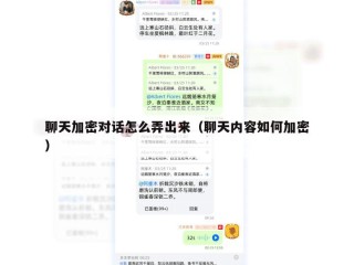 聊天加密对话怎么弄出来（聊天内容如何加密）