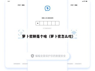 萝卜密聊是个啥（萝卜密怎么吃）