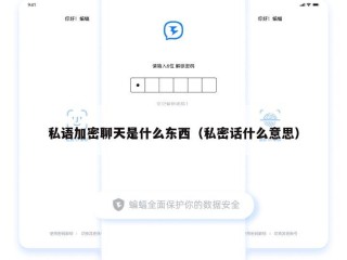 私语加密聊天是什么东西（私密话什么意思）