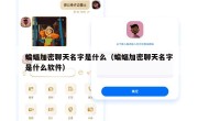 蝙蝠加密聊天名字是什么（蝙蝠加密聊天名字是什么软件）