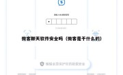 微客聊天软件安全吗（微客是干什么的）