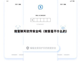 微客聊天软件安全吗（微客是干什么的）