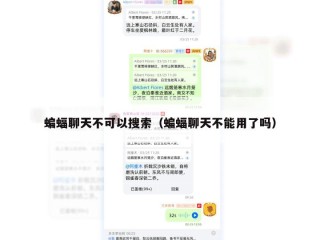蝙蝠聊天不可以搜索（蝙蝠聊天不能用了吗）