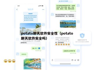 potato聊天软件安全性（potato聊天软件安全吗）