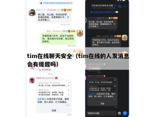 tim在线聊天安全（tim在线的人发消息会有提醒吗）