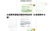 小武聊天视频下载软件安全吗（小武视频中小崔）