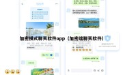 加密模式聊天软件app（加密端聊天软件）