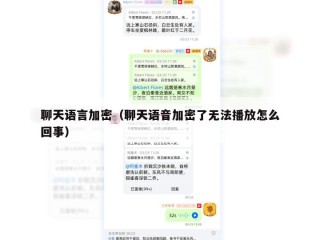 聊天语言加密（聊天语音加密了无法播放怎么回事）