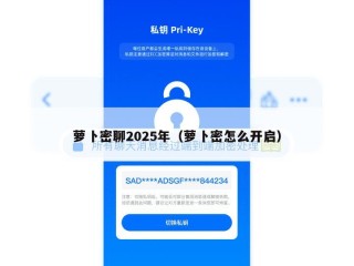 萝卜密聊2025年（萝卜密怎么开启）