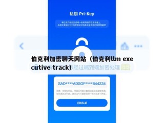 伯克利加密聊天网站（伯克利llm executive track）
