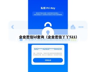企业密信ld查询（企业密信丫丫521）