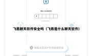飞燕聊天软件安全吗（飞燕是什么聊天软件）