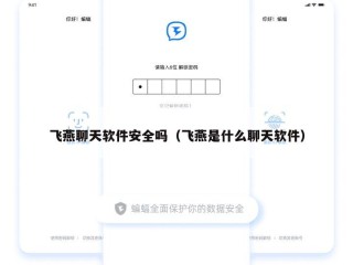 飞燕聊天软件安全吗（飞燕是什么聊天软件）