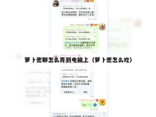 萝卜密聊怎么弄到电脑上（萝卜密怎么吃）