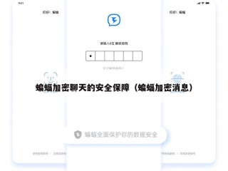 蝙蝠加密聊天的安全保障（蝙蝠加密消息）