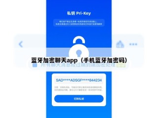 蓝牙加密聊天app（手机蓝牙加密码）