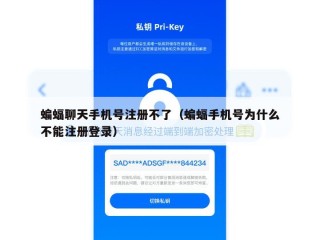 蝙蝠聊天手机号注册不了（蝙蝠手机号为什么不能注册登录）