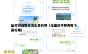 加密对话聊天怎么弄的啊（加密软件聊天哪个最好用）