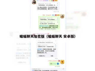 蝙蝠聊天加密版（蝙蝠聊天 安卓版）