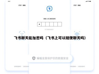 飞书聊天能加密吗（飞书上可以随便聊天吗）