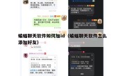 蝙蝠聊天软件如何加id（蝙蝠聊天软件怎么添加好友）
