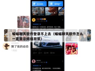 蝙蝠聊天软件登录不上去（蝙蝠聊天软件怎么一直显示网络异常）