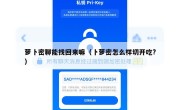 萝卜密聊能找回来嘛（卜萝密怎么样切开吃?）