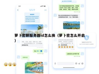 萝卜密聊服务器id怎么换（萝卜密怎么开启）