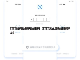 钉钉如何给聊天加密码（钉钉怎么添加密聊好友）
