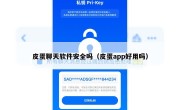 皮蛋聊天软件安全吗（皮蛋app好用吗）
