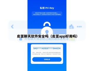 皮蛋聊天软件安全吗（皮蛋app好用吗）