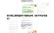 双子网上聊天软件下载安全吗（双子平台可靠么）