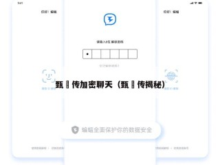 甄嬛传加密聊天（甄嬛传揭秘）